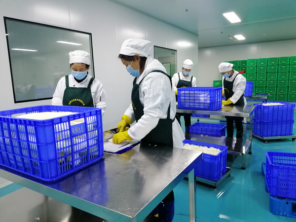 凈菜加工整套生產(chǎn)線 凈菜加工設備 清洗風干切制全套設備定制